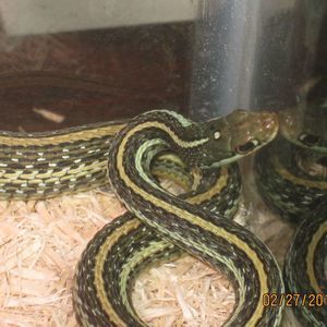 Meet your Posher, Jack